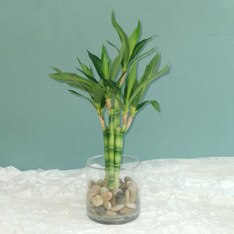 New 40cm rFtificial Lucky Bamb - Desk Setup Plant review and price