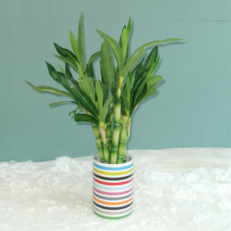 New 40cm rFtificial Lucky Bamb - Desk Setup Plant review and price