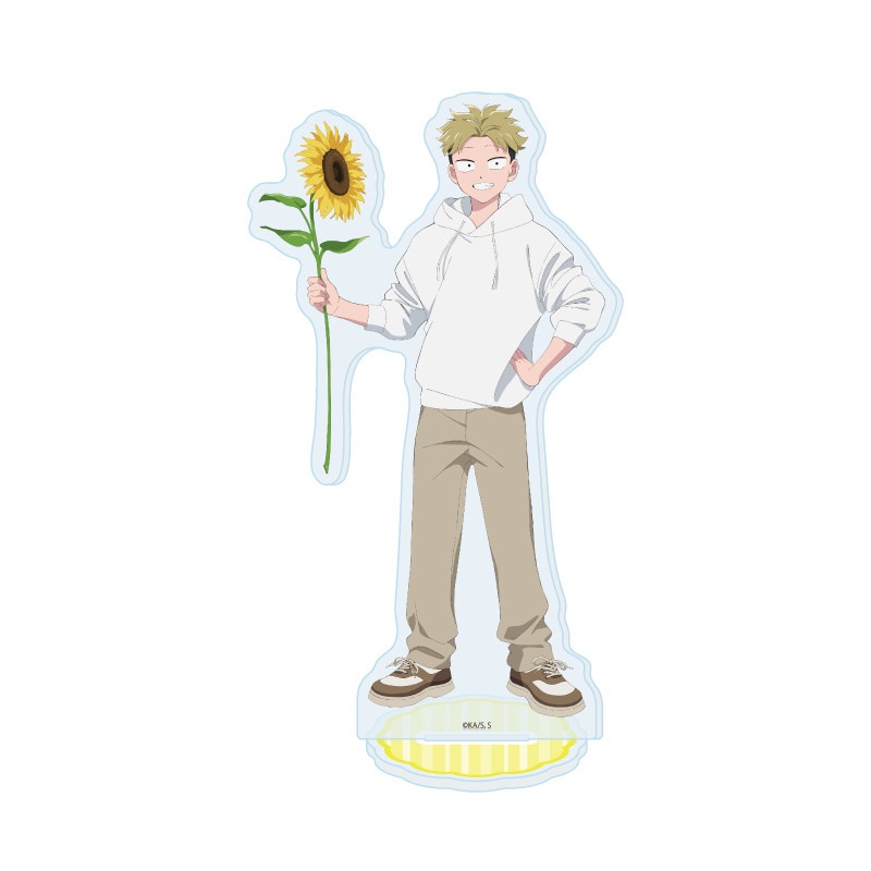 You and I Are Polar Opposites  - Desk Setup Plant review and price