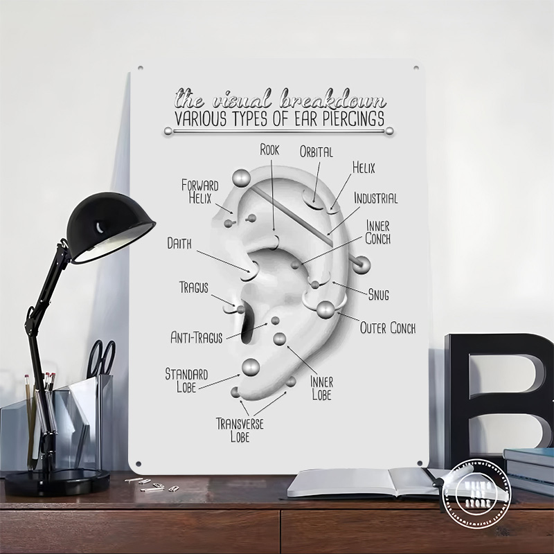 Ear Piercing Chart Metal Poste - Desk Setup Poster review and price