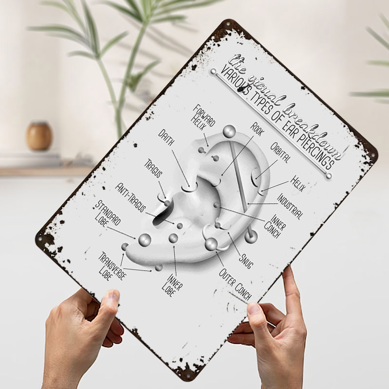 Ear Piercing Chart Metal Poste - Desk Setup Poster review and price