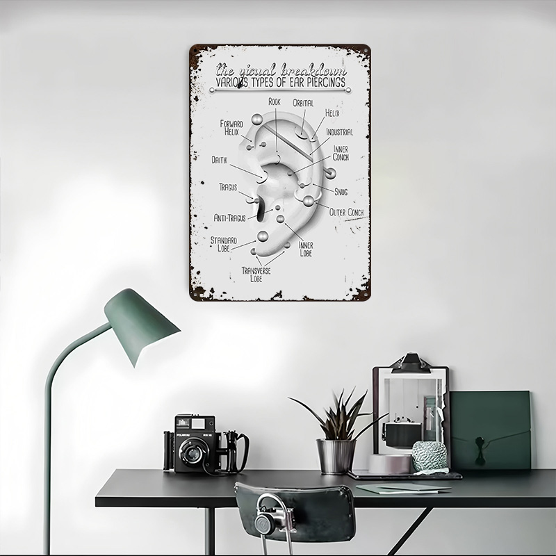 Ear Piercing Chart Metal Poste - Desk Setup Poster review and price