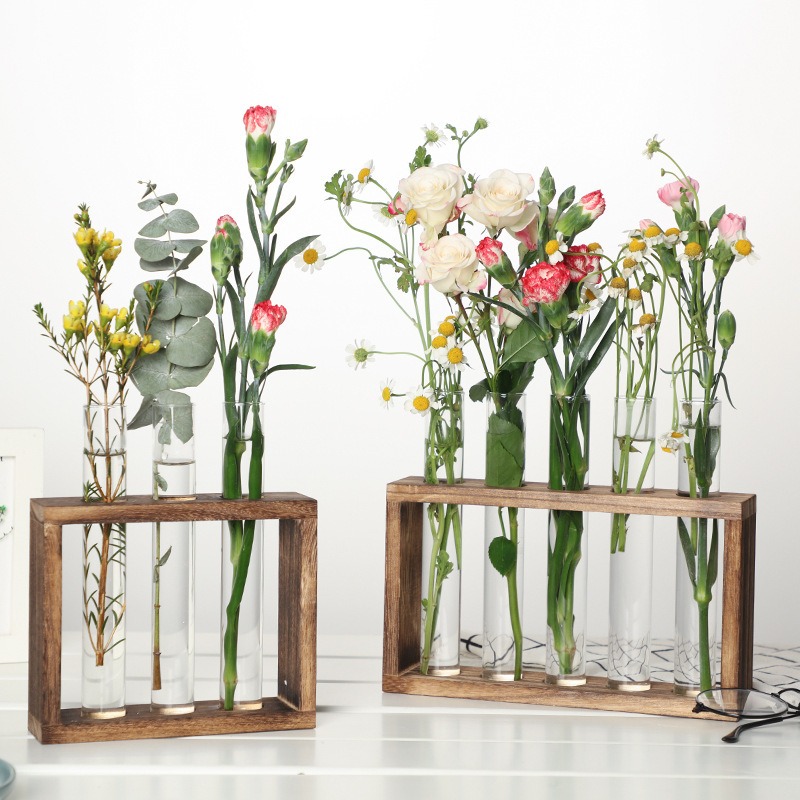 5-Tube Glass Hydroponic Plante - Desk Setup Plant review and price