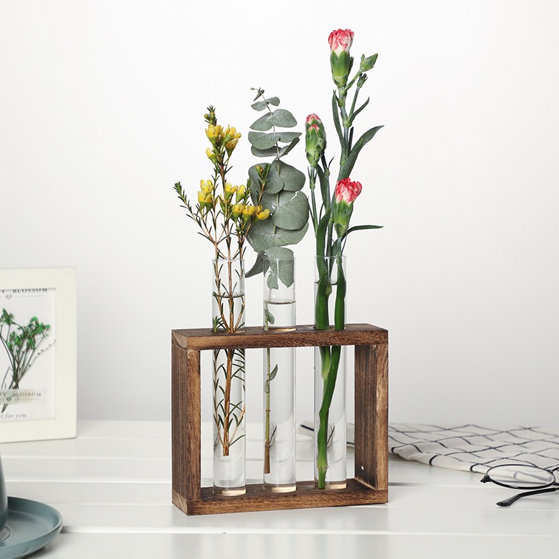 5-Tube Glass Hydroponic Plante - Desk Setup Plant review and price